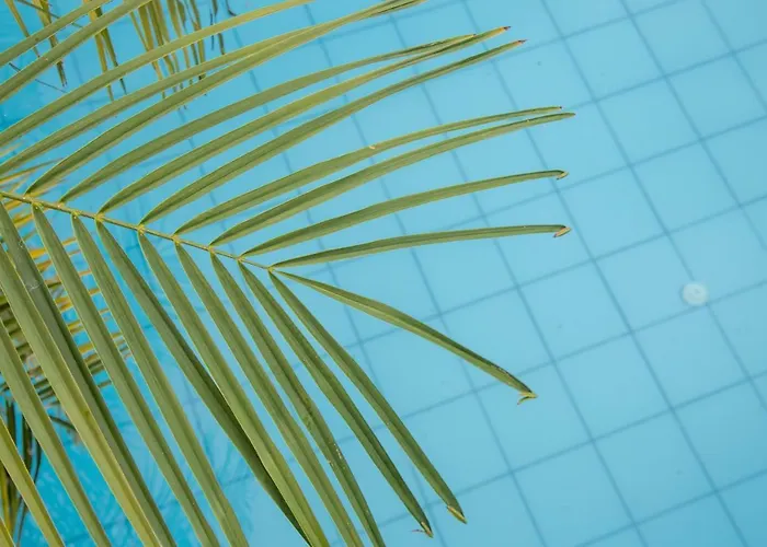 Santai Bali Pensión 3*